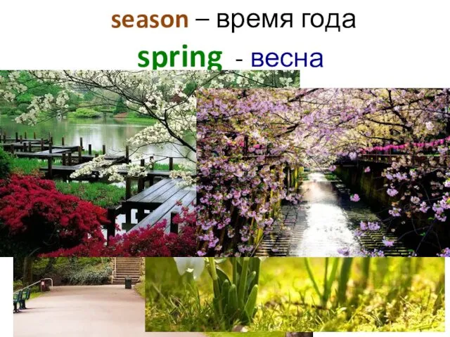 season – время года spring - весна