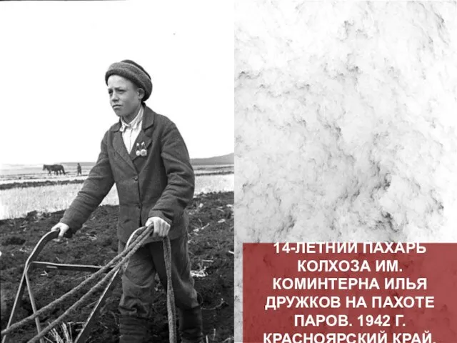 14-ЛЕТНИЙ ПАХАРЬ КОЛХОЗА ИМ.КОМИНТЕРНА ИЛЬЯ ДРУЖКОВ НА ПАХОТЕ ПАРОВ. 1942 Г. КРАСНОЯРСКИЙ КРАЙ.