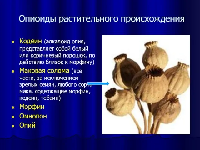 Опиоиды растительного происхождения Кодеин (алкалоид опия, представляет собой белый или коричневый