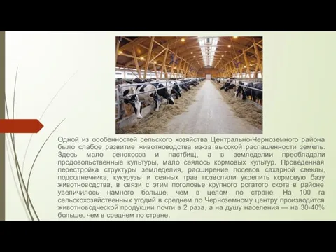 Одной из особенностей сельского хозяйства Центрально-Черноземного района было слабое развитие животноводства