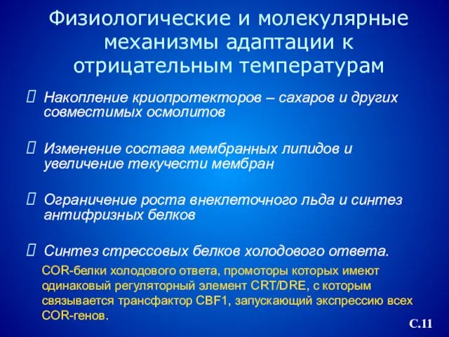 Физиологические и молекулярные механизмы адаптации к отрицательным температурам Накопление криопротекторов –