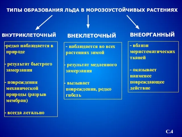 ТИПЫ ОБРАЗОВАНИЯ ЛЬДА В МОРОЗОУСТОЙЧИВЫХ РАСТЕНИЯХ ВНУТРИКЛЕТОЧНЫЙ ВНЕКЛЕТОЧНЫЙ ВНЕОРГАННЫЙ редко наблюдается