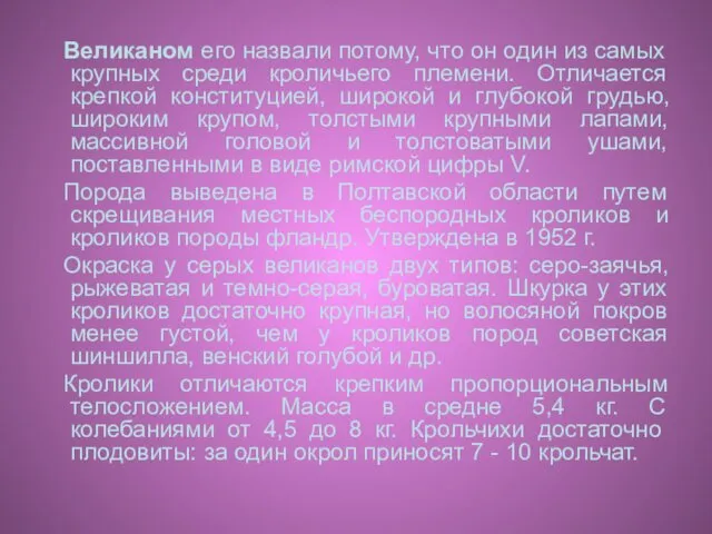 Великаном его назвали потому, что он один из самых крупных среди