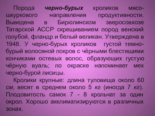 Порода черно-бурых кроликов мясо-шкуркового направления продуктивности. Выведена в Бирюлинском зверосовхозе Татарской