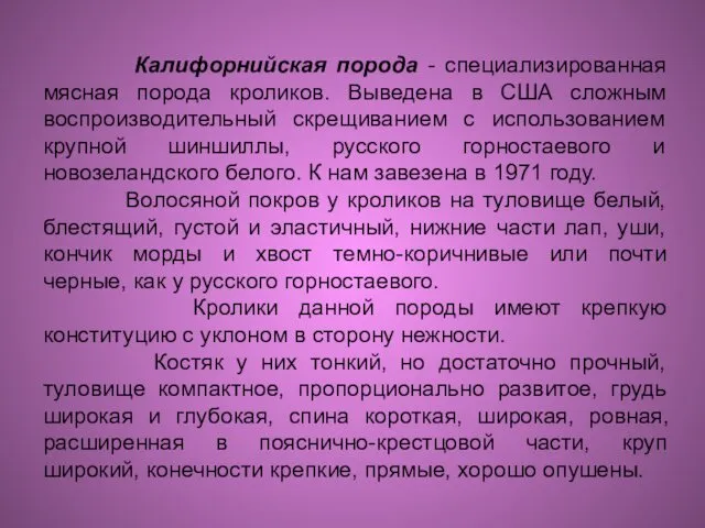 Калифорнийская порода - специализированная мясная порода кроликов. Выведена в США сложным