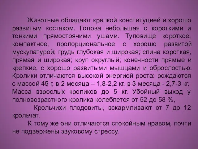 Животные обладают крепкой конституцией и хорошо развитым костяком. Голова небольшая с