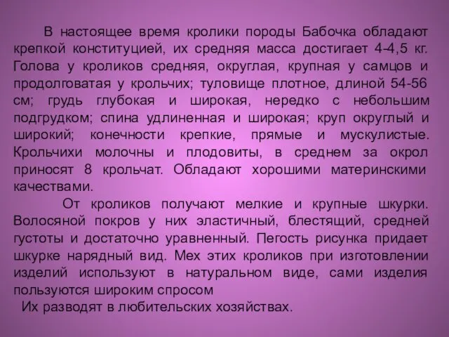 В настоящее время кролики породы Бабочка обладают крепкой конституцией, их средняя