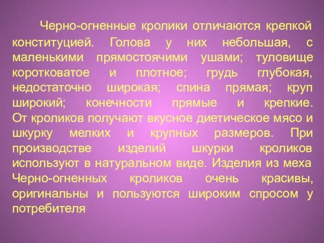 Черно-огненные кролики отличаются крепкой конституцией. Голова у них небольшая, с маленькими