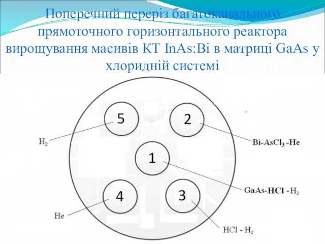 Поперечний переріз багатоканального прямоточного горизонтального реактора вирощування масивів КТ InAs:Bi в матриці GaAs у хлоридній системі