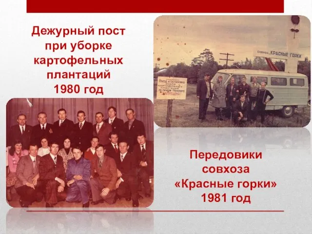 Передовики совхоза «Красные горки» 1981 год Дежурный пост при уборке картофельных плантаций 1980 год