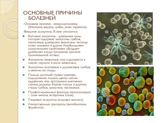 ОСНОВНЫЕ ПРИЧИНЫ БОЛЕЗНЕЙ -Основная причина - микроорганизмы (бактерии, вирусы, грибы, реже