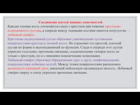 Соединение костей нижних конечностей Каждая тазовая кость сочленяется сзади с крестцом