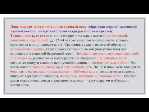 Пояс нижних конечностей, или тазовый пояс, образован парной массивной тазовой костью,