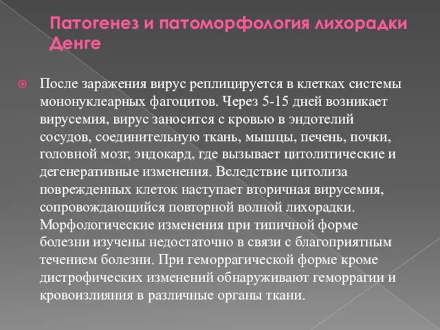 Патогенез и патоморфология лихорадки Денге После заражения вирус реплицируется в клетках