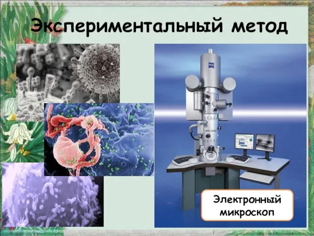 Экспериментальный метод Электронный микроскоп