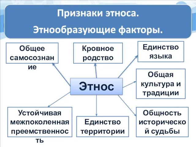 Этнос Единство территории Кровное родство Общность исторической судьбы Общая культура и