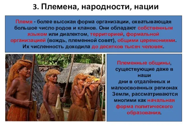 3. Племена, народности, нации Племя - более высокая форма организации, охватывающая