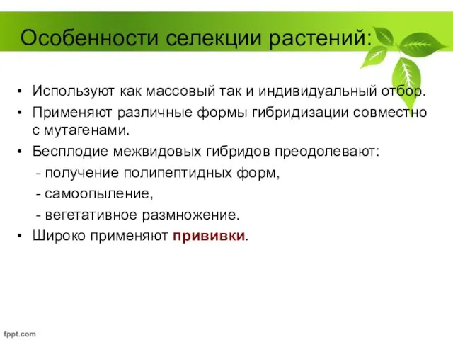 Особенности селекции растений: Используют как массовый так и индивидуальный отбор. Применяют