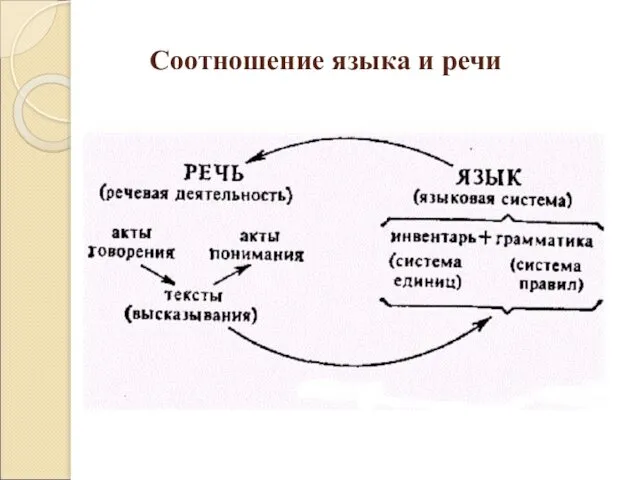 Соотношение языка и речи