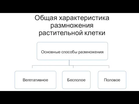 Общая характеристика размножения растительной клетки