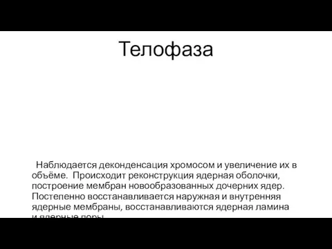 Телофаза Наблюдается деконденсация хромосом и увеличение их в объёме. Происходит реконструкция