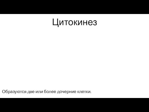 Цитокинез Образуются две или более дочерние клетки.