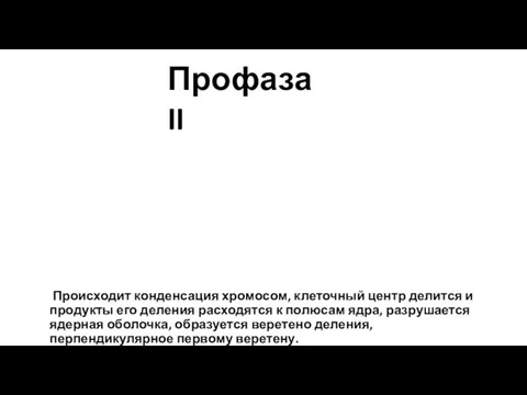 Происходит конденсация хромосом, клеточный центр делится и продукты его деления расходятся