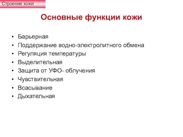 Основные функции кожи Барьерная Поддержание водно-электролитного обмена Регуляция температуры Выделительная Защита