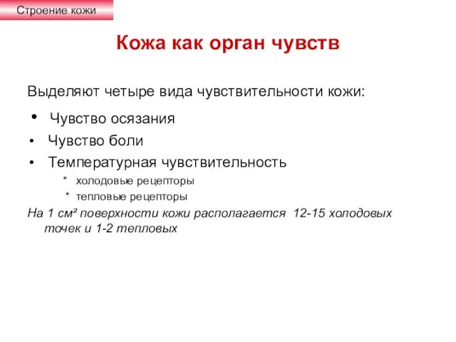 Кожа как орган чувств Выделяют четыре вида чувствительности кожи: Чувство осязания