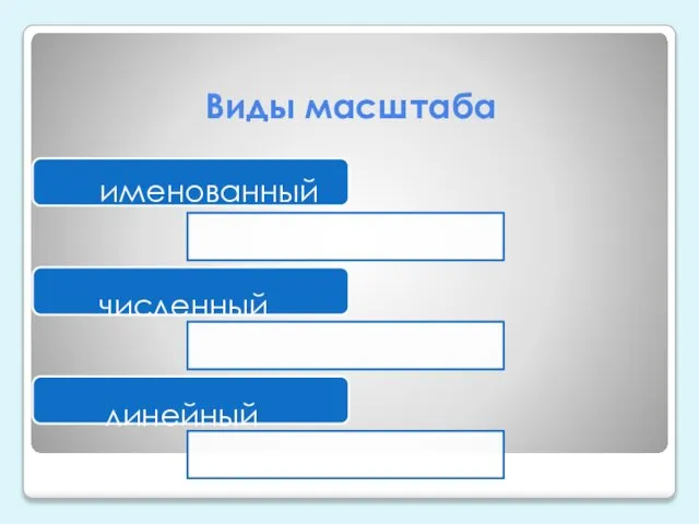 Виды масштаба именованный численный линейный