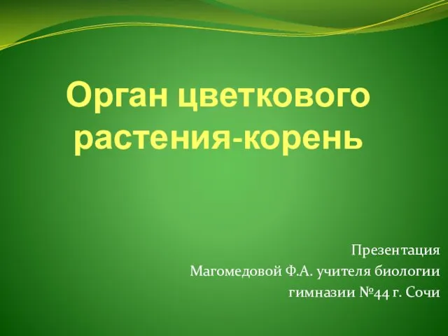 Орган цветкового растения - корень