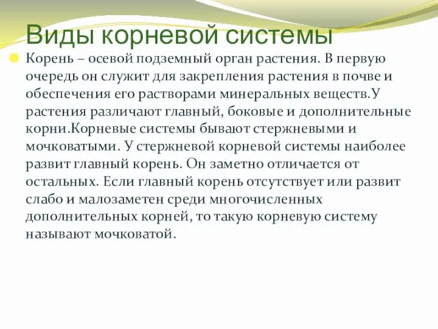 Корень – осевой подземный орган растения. В первую очередь он служит