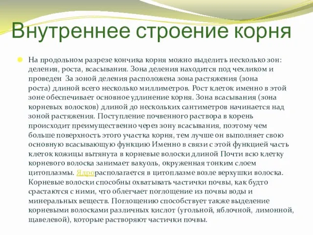 На продольном разрезе кончика корня можно выделить несколько зон: деления, роста,