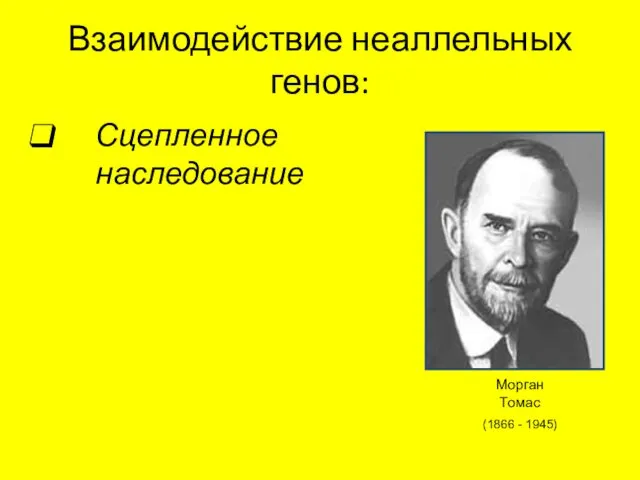 Взаимодействие неаллельных генов: Сцепленное наследование Морган Томас (1866 - 1945)