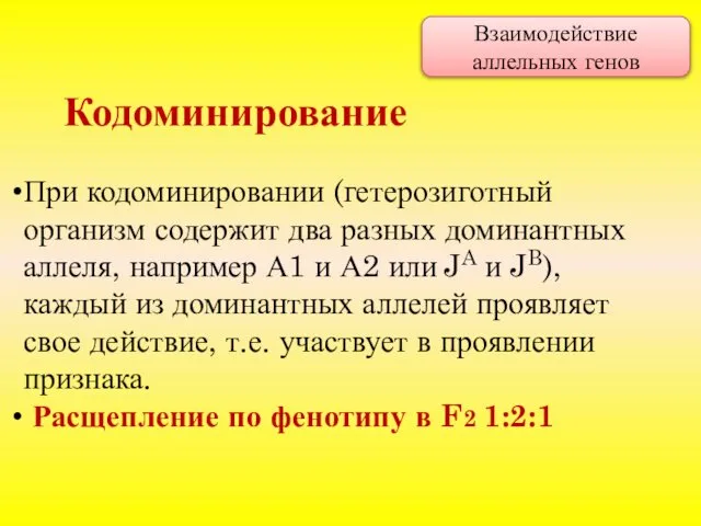 При кодоминировании (гетерозиготный организм содержит два разных доминантных аллеля, например А1