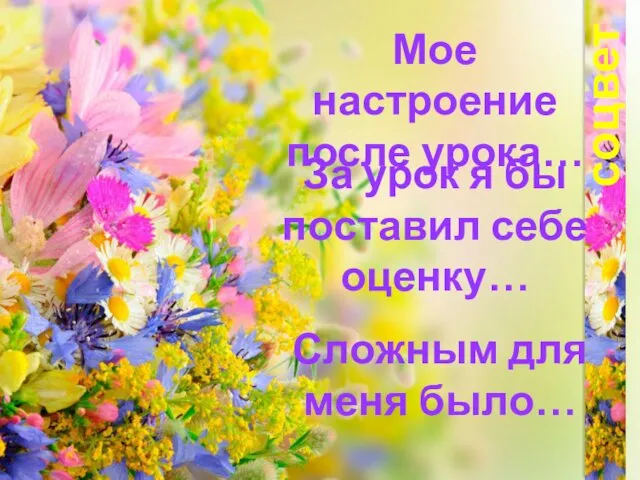 соцветия Мое настроение после урока… За урок я бы поставил себе оценку… Сложным для меня было…