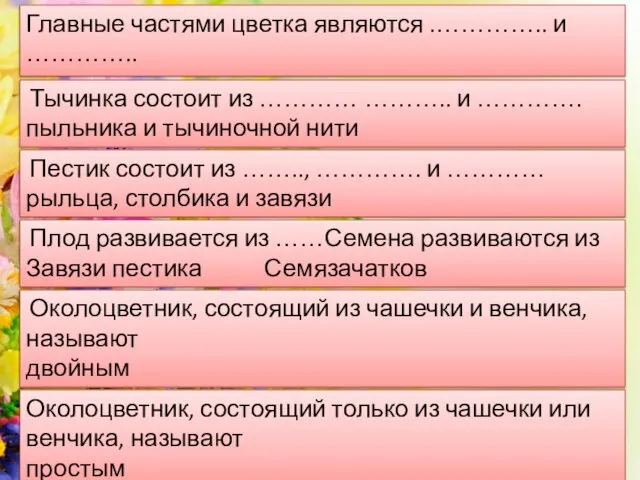 Главные частями цветка являются .………….. и ………….. тычинки и пестики Тычинка