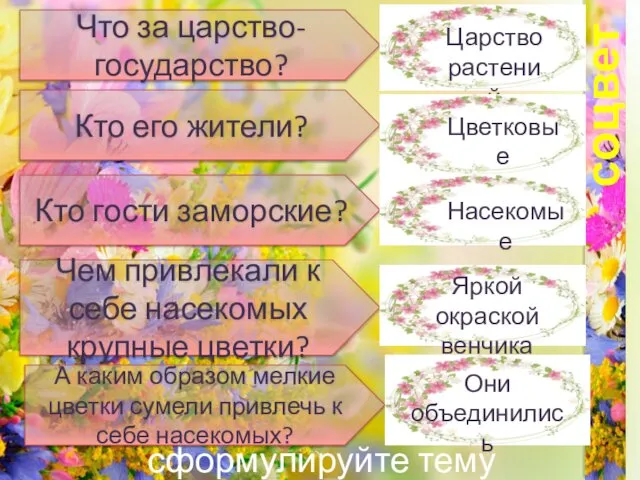 соцветия Что за царство-государство? Кто его жители? сформулируйте тему урока Чем