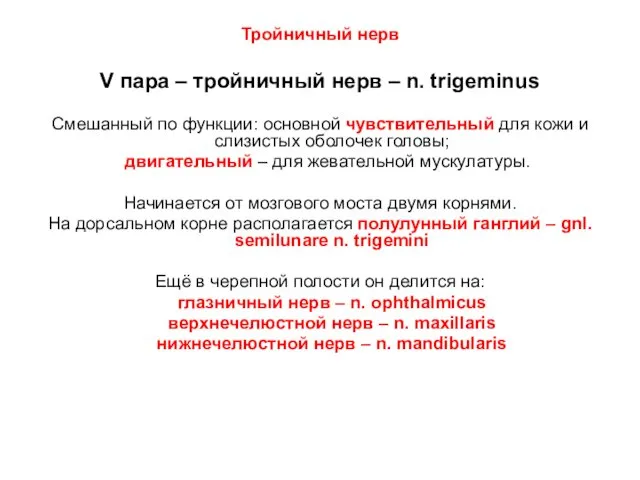 Тройничный нерв V пара – тройничный нерв – n. trigeminus Смешанный