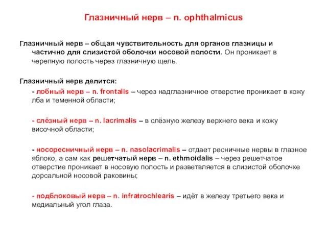 Глазничный нерв – n. ophthalmicus Глазничный нерв – общая чувствительность для