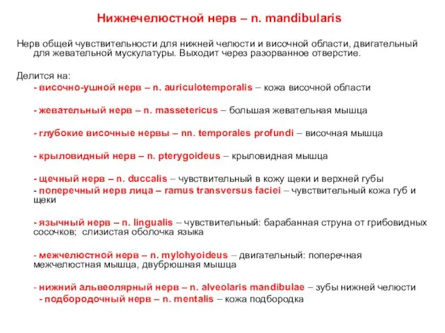 Нижнечелюстной нерв – n. mandibularis Нерв общей чувствительности для нижней челюсти