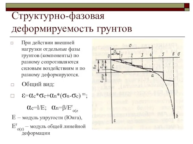 Структурно-фазовая деформируемость грунтов При действии внешней нагрузки отдельные фазы грунтов (компоненты)