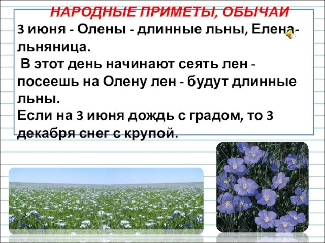 НАРОДНЫЕ ПРИМЕТЫ, ОБЫЧАИ 3 июня - Олены - длинные льны, Елена-льняница.