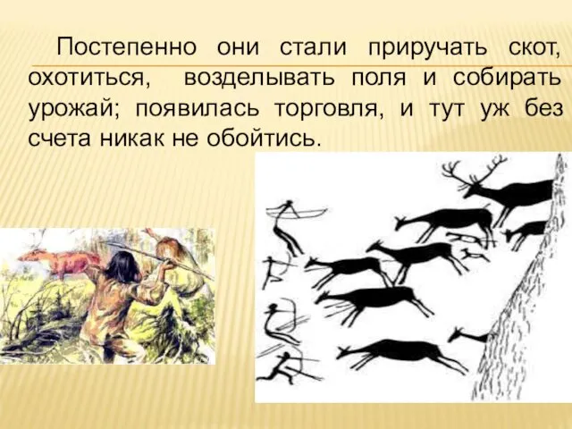 Постепенно они стали приручать скот, охотиться, возделывать поля и собирать урожай;