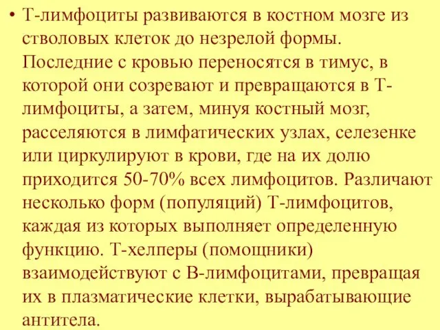 Т-лимфоциты развиваются в костном мозге из стволовых клеток до незрелой формы.