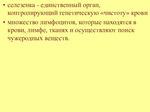 селезенка - единственный орган, контролирующий генетическую «чистоту» крови множество лимфоцитов, которые