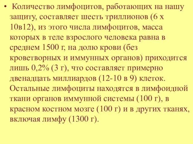 Количество лимфоцитов, работающих на нашу защиту, составляет шесть триллионов (6 х