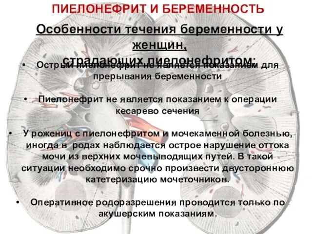 ПИЕЛОНЕФРИТ И БЕРЕМЕННОСТЬ Особенности течения беременности у женщин, страдающих пиелонефритом: Острый