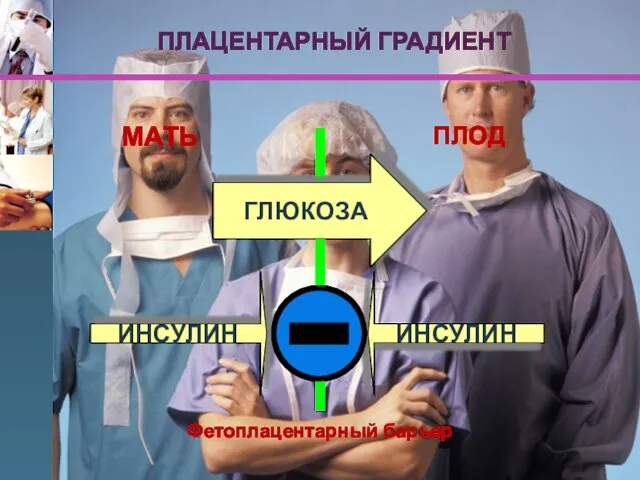 МАТЬ ПЛОД ГЛЮКОЗА ИНСУЛИН ИНСУЛИН Фетоплацентарный барьер ПЛАЦЕНТАРНЫЙ ГРАДИЕНТ