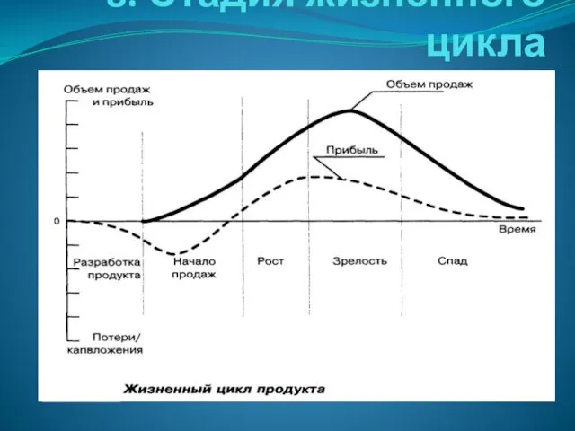 8. Стадия жизненного цикла